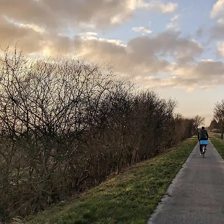 Tatil Evi Gemuetliches An Der Eider