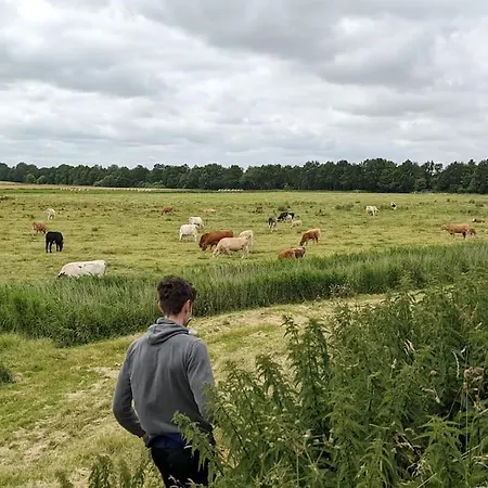 Gemuetliches An Der Eider * Bargen (Schleswig-Flensbur)